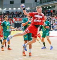 Werner Scholz, Handball_HSG_01