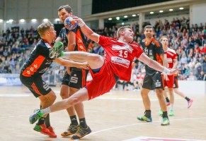 Werner Scholz, Handball_HSG_15