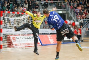 Werner Scholz, Handball_HSG_27