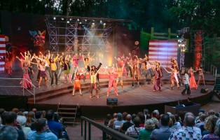 Werner Scholz, Musical_35