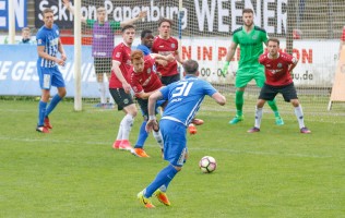 Werner Scholz, _R0T1993