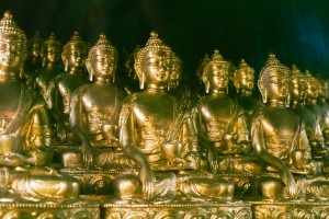 Werner Scholz, Buddh_01_net