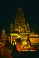 Werner Scholz, Buddh_02_net