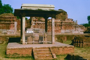 Werner Scholz, Buddh_04_net