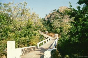 Werner Scholz, Buddh_08_net