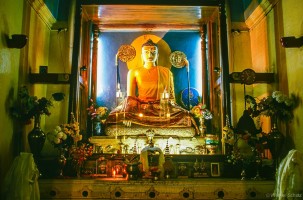 Werner Scholz, Buddh_09_net