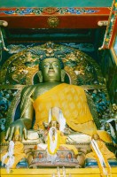 Werner Scholz, Buddh_10_net