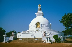 Werner Scholz, Buddh_11_net