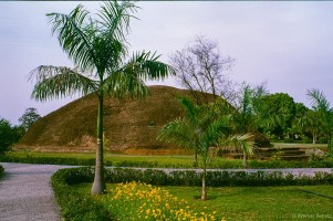 Werner Scholz, Buddh_12_net