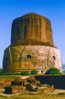 Werner Scholz, Buddh_14_net