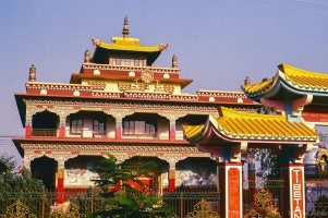 Werner Scholz, Buddh_15_net