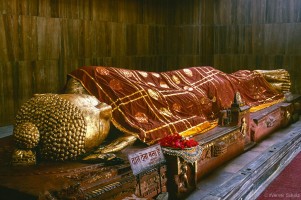 Werner Scholz, Buddh_16_net