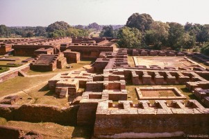 Werner Scholz, Buddh_17_net