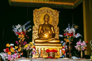 Werner Scholz, Buddh_21_net