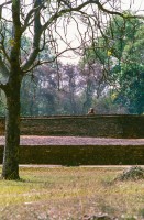 Werner Scholz, Moenche_13_net